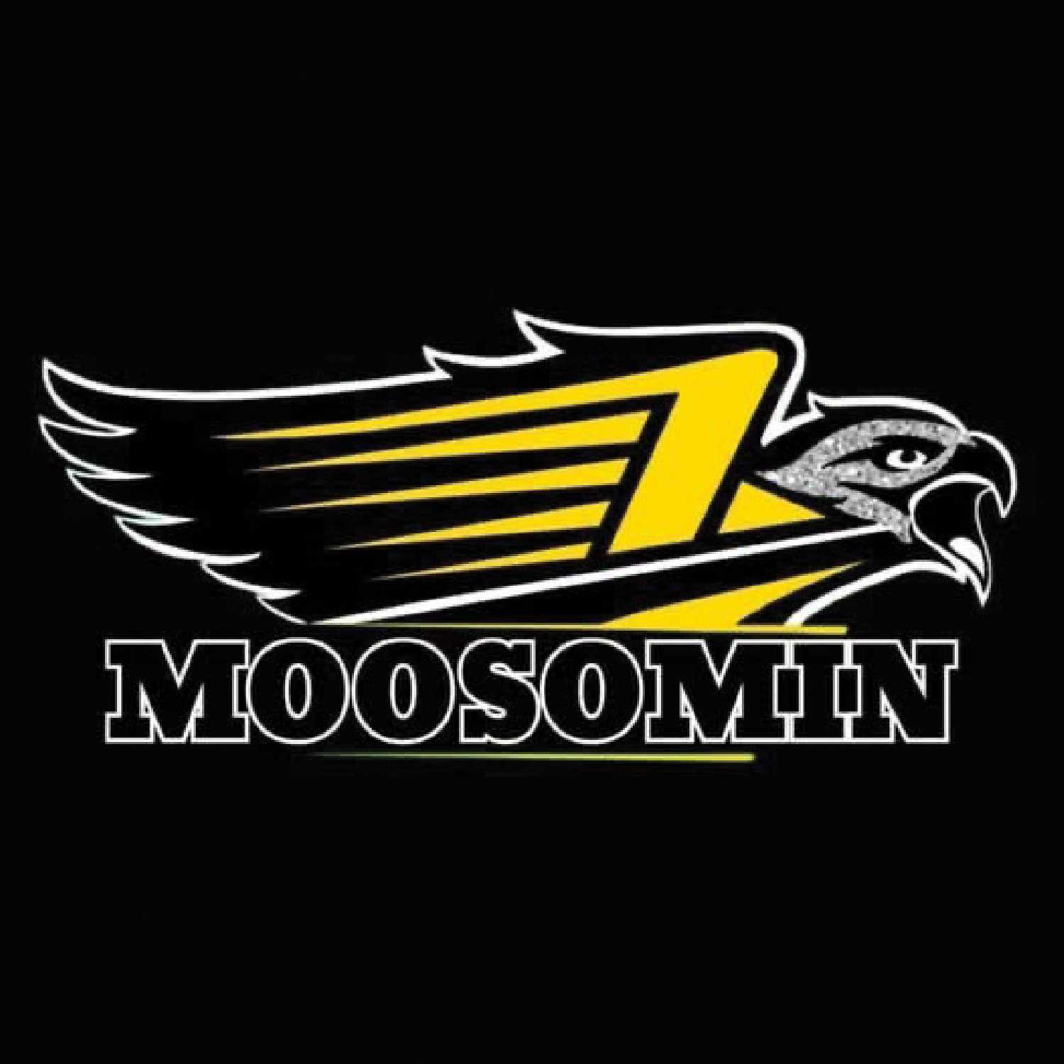 The Moosomin Steelhawks will be joining the PJHL this fall.