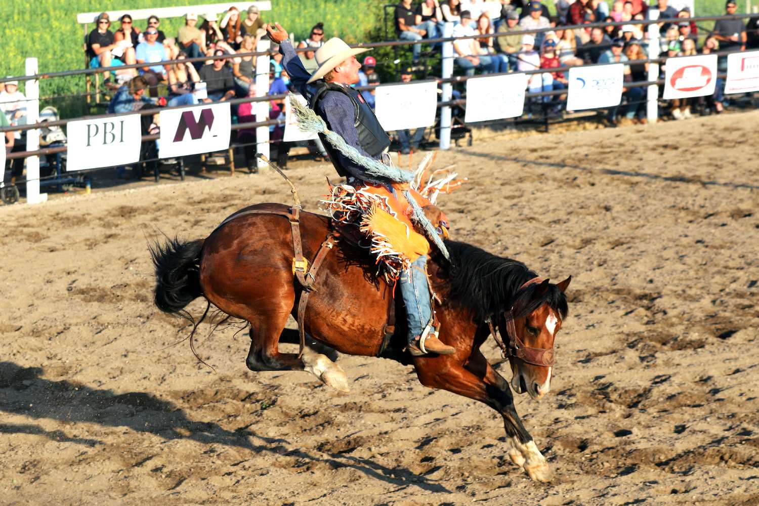 Blake Rasmuson during his bronc ride at the Bulls and Broncs Rodeo last year. 